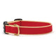 Color Market Dog Collar (Customizable)