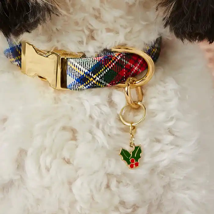 holly dog collar charm styled