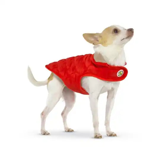 dog wearing up country diamond quilted dog coat in red