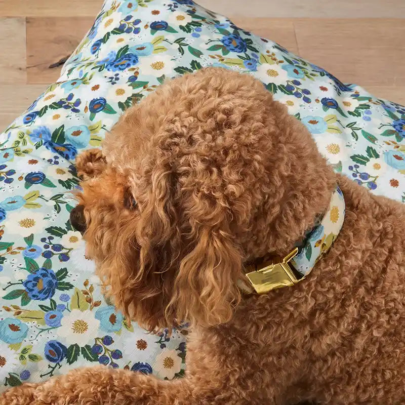 foggy dog vintage blossom dog collar styled