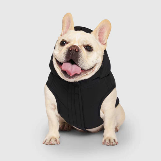 canada pooch dog puffer front