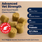 Infographic showing Glandex chewable dog supplements and key ingredient benefits.