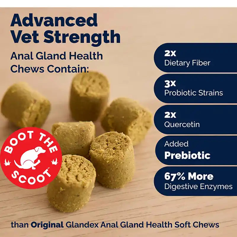Infographic showing Glandex chewable dog supplements and key ingredient benefits.