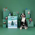 Dog sitting among green gift boxes with toys from the boxed advent calendar sitting next to him