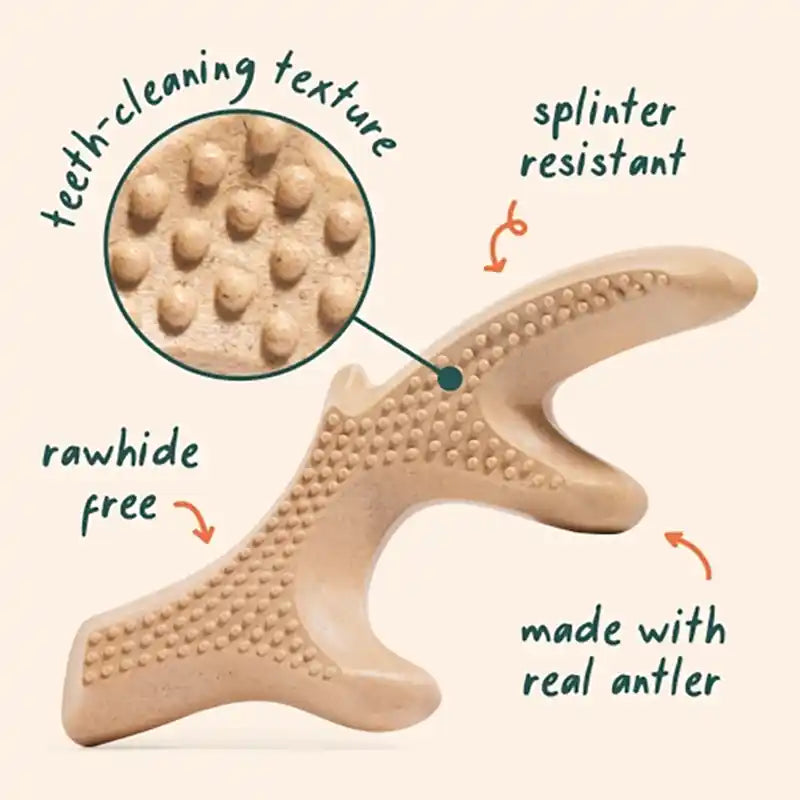 HonestChew Antler Info