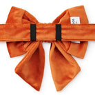 Back view of an orange velvet dog bow with elastic loops.