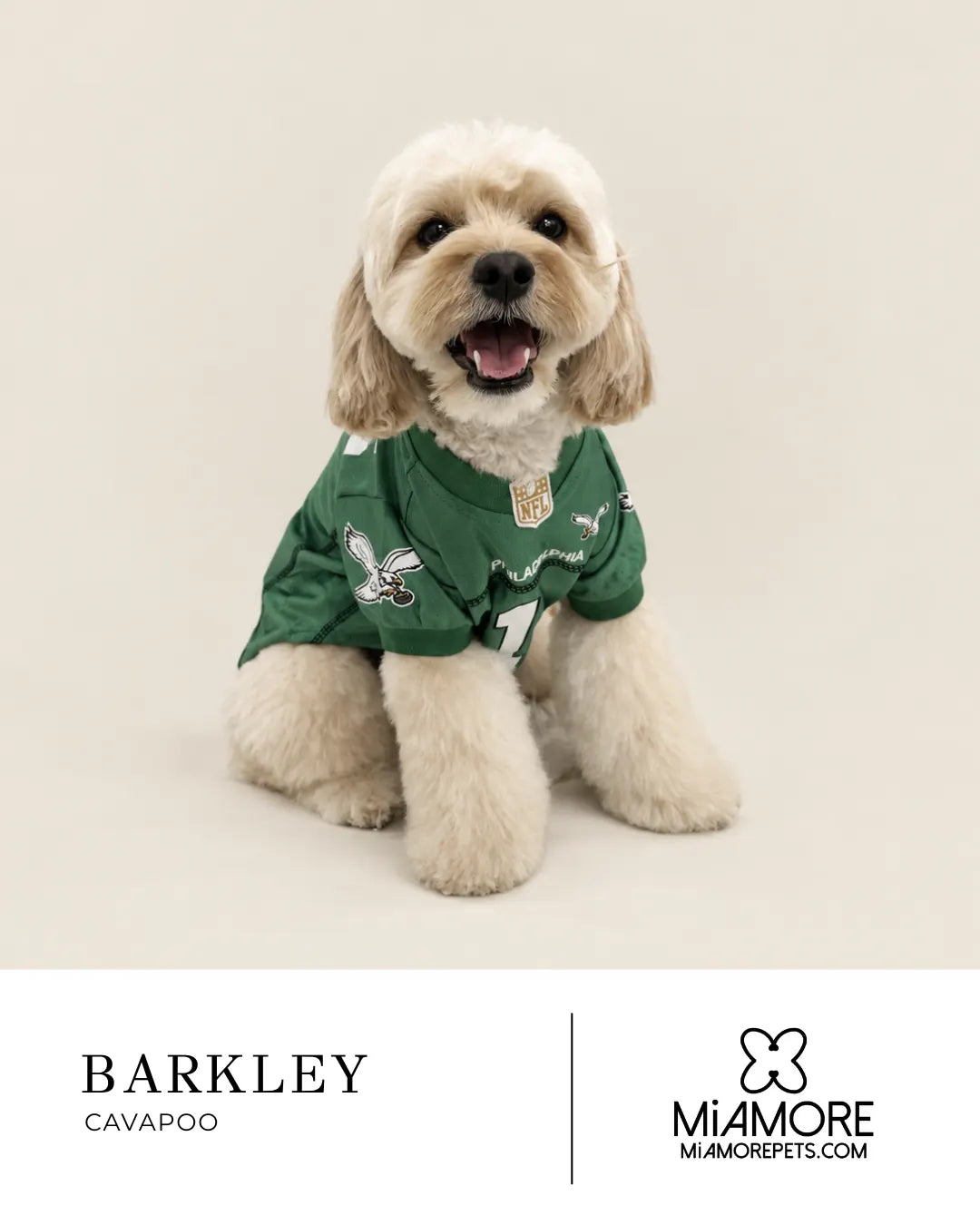 A small fluffy cream-colored cavapoo sits on a light beige studio background wearing a green Philadelphia Eagles jersey pet shirt. The bottom of the image has a white banner with the text 'BARKLEY CAVAPOO' on the left and the 'MIAMORE MIAMOREPETS.