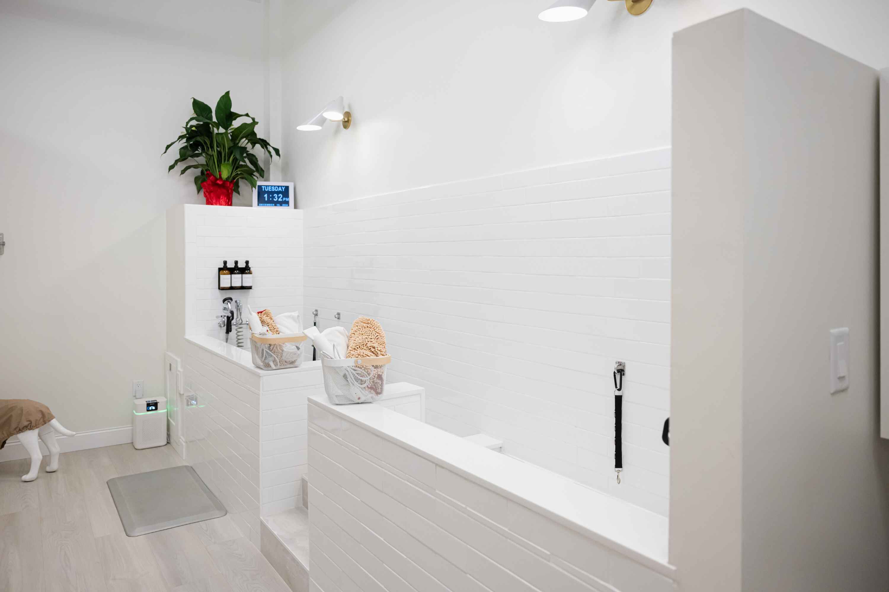 Self-service dog wash, bath, and cleaning at MiAmore Pet Boutique in Blue Bell, PA