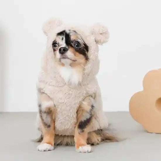 Dog sales bear sweater