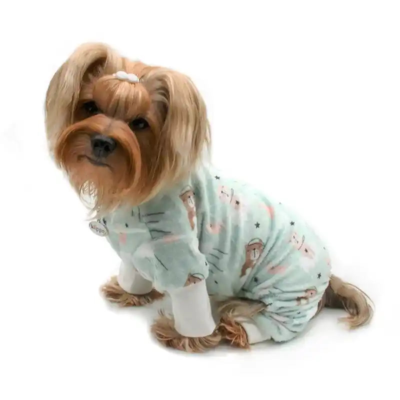 Yorkie wearing bedtime pajamas with bears on it 