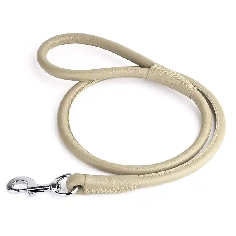 beige leather dog leash