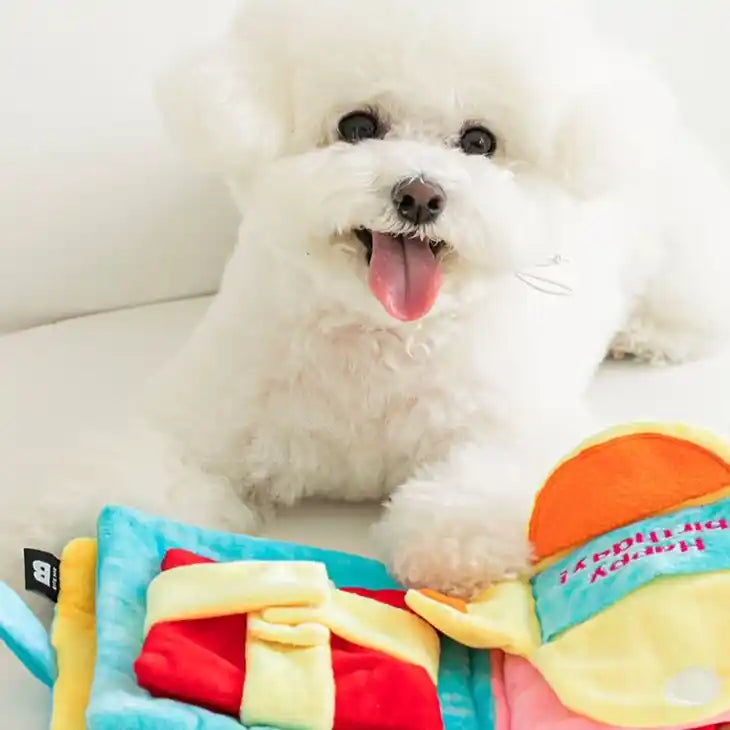 birthday book snuffle dog toy with dog 