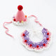 Crochet Pet Birthday Hat & Bib Set