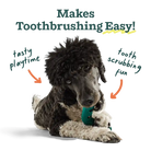 Dog with a green toothbrushing toy, text indicating benefits of toothbrushing.