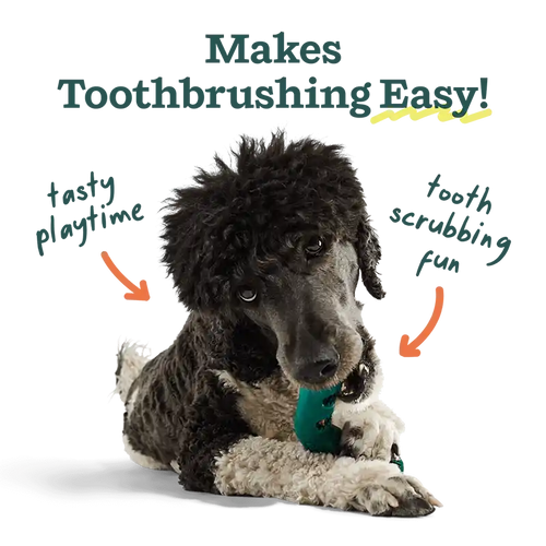 Dog with a green toothbrushing toy, text indicating benefits of toothbrushing.