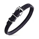 rolled leather collar  in black