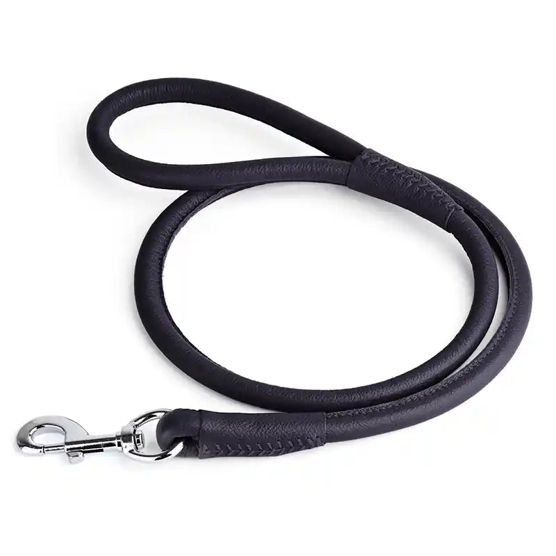 black leather dog leash
