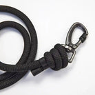 closeup of black dog rover leash
