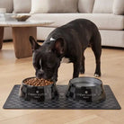 Dog eating from a 'Chevy Vuiton' bowl in a home setting