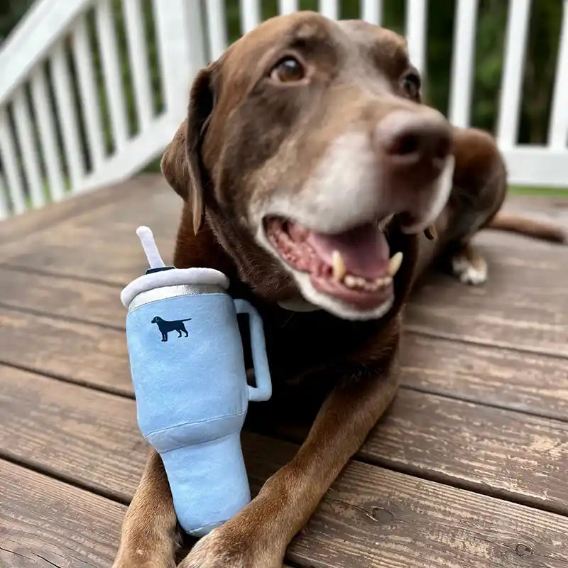 dog with blue pup cup tumbler dog toy