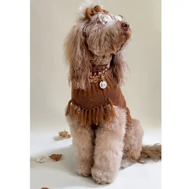 Dog wearing a brown sweater with fringe, standing on a light background