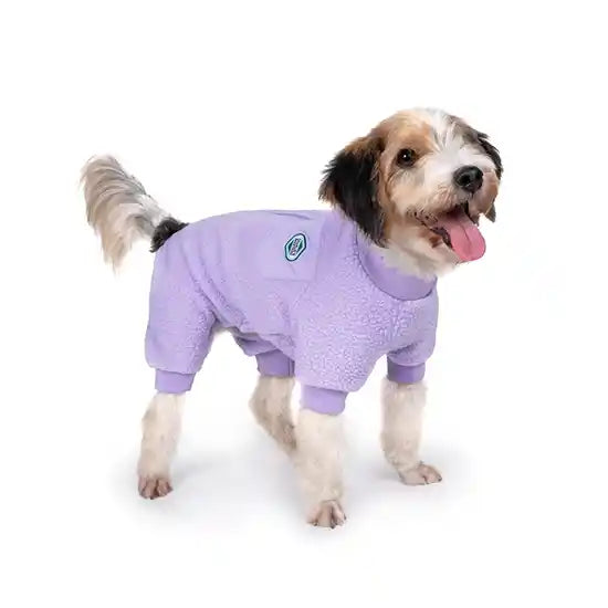 dog wearing lavender outdoor dog onesie