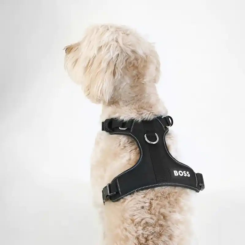 Hugo boss dog harness hot sale