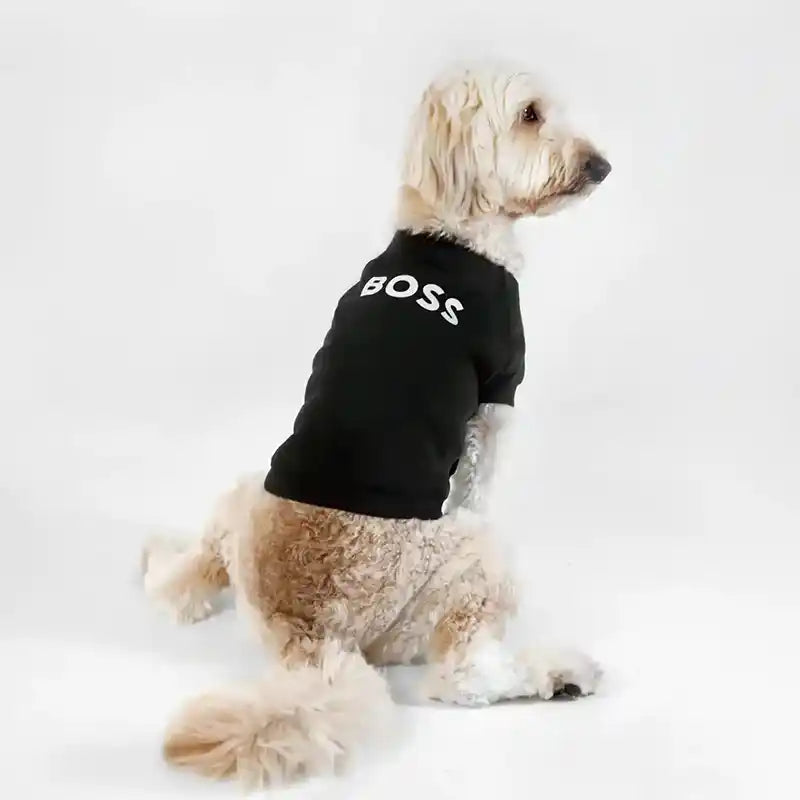 Dog wearing BOSS Dog Essentials Sweater in Black