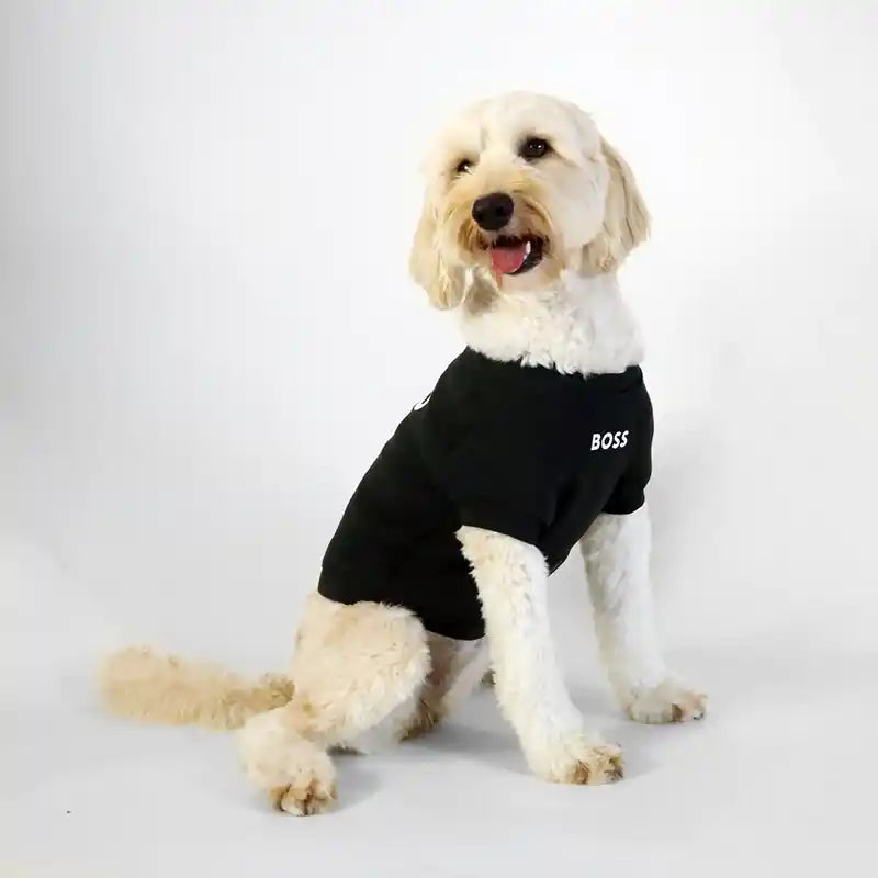 Dog wearing BOSS Dog Essentials Sweater in Black side view