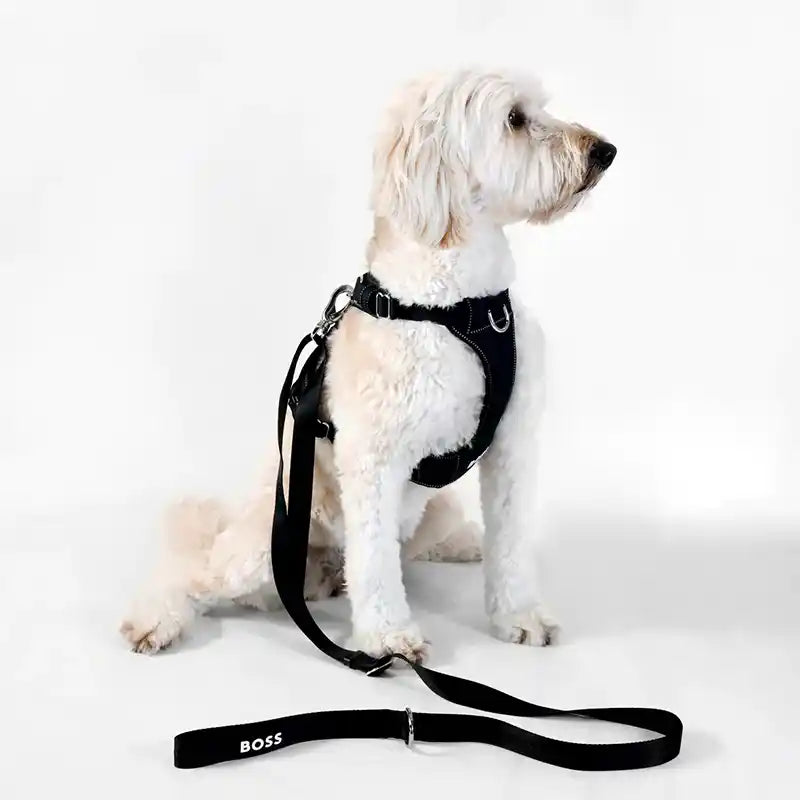 boss dog essentials leash in black styled