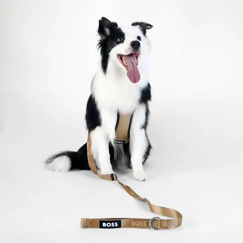 boss dog essentials leash in tan styled