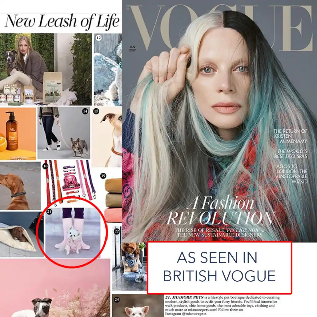 miamore pets blush raincoat in british vogue