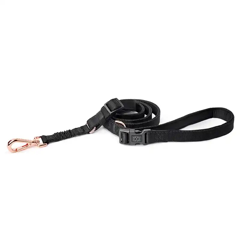 Black Bungee leash on white background