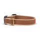Color Market Dog Collar (Customizable)