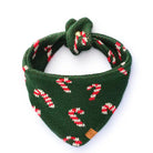 knitted candycanes pet bandana