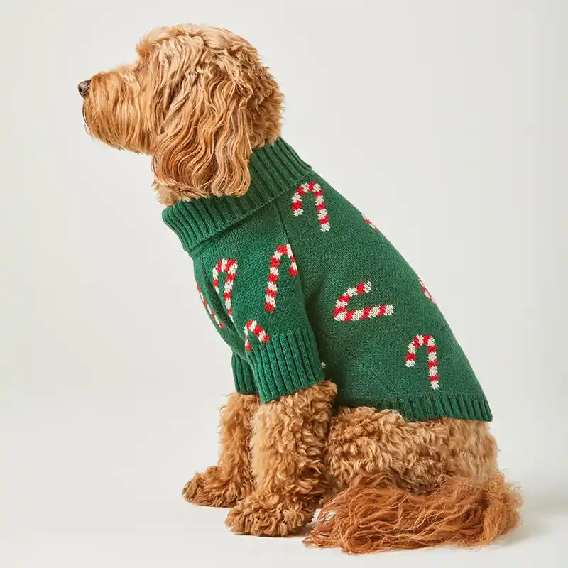 Side view of doodle wearing Evergreen Candy Canes Foggy Dog Sweater