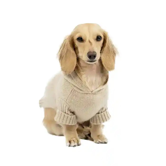 oatmeal cashmere dog sweater