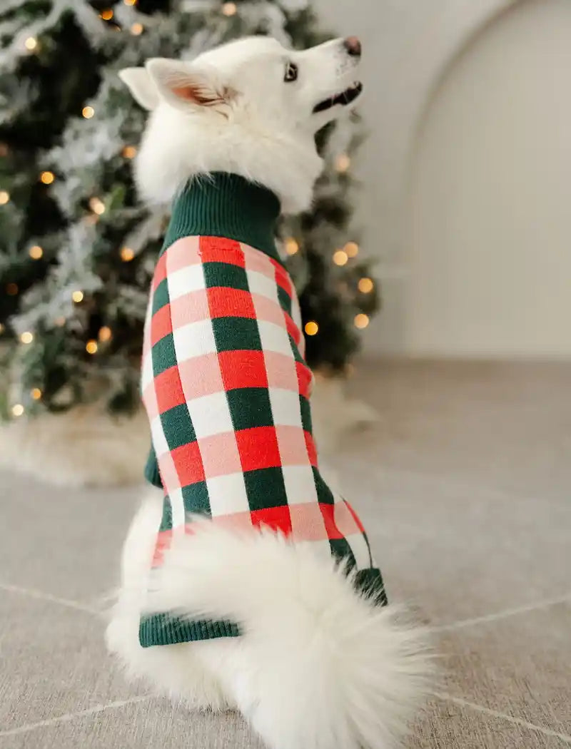 White dog wearing a red and green checkered sweater with fluffy white tail in front of a decorated Christmas tree.