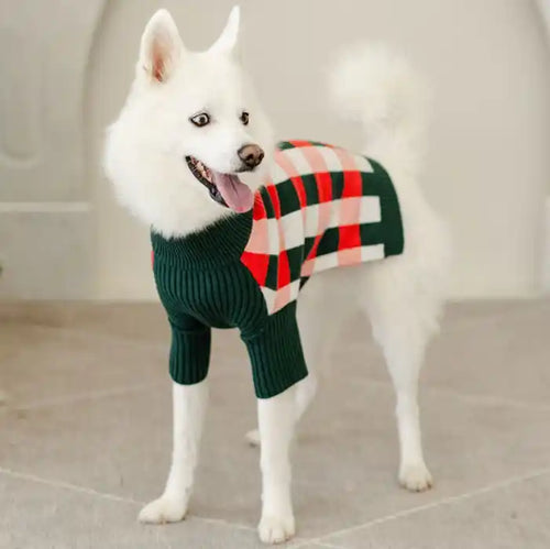 White dog wearing a green sweater with a red and white checkered pattern on a light background