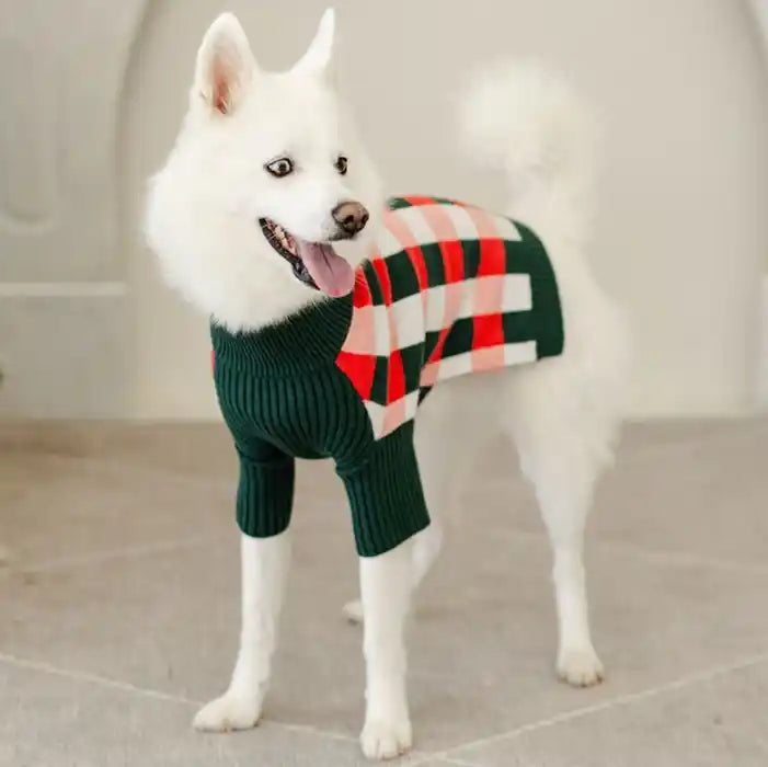 White dog wearing a green sweater with a red and white checkered pattern on a light background
