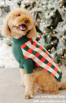 Dog wearing a green sweater with a checkered pattern in front of a decorated Christmas tree.