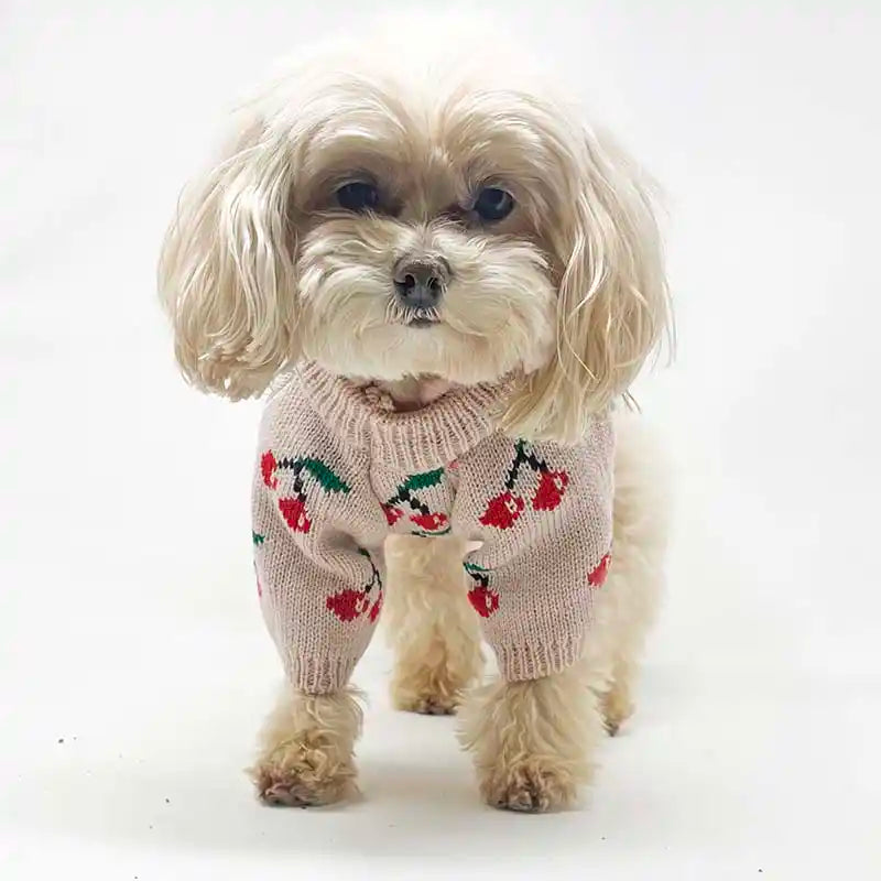 Cherry Delight Dog Sweater Front View