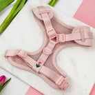 Pink dog harness with floral design on a marble surface with tulips