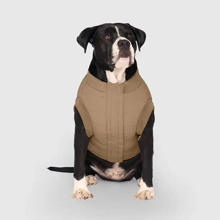 Canada pooch dog jacket hot sale