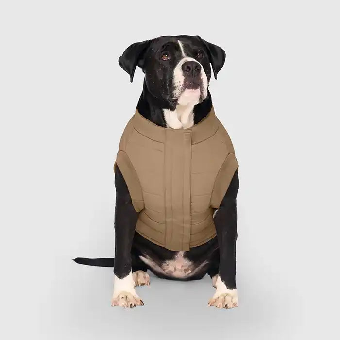 canada pooch cool factor tan dog coat front view