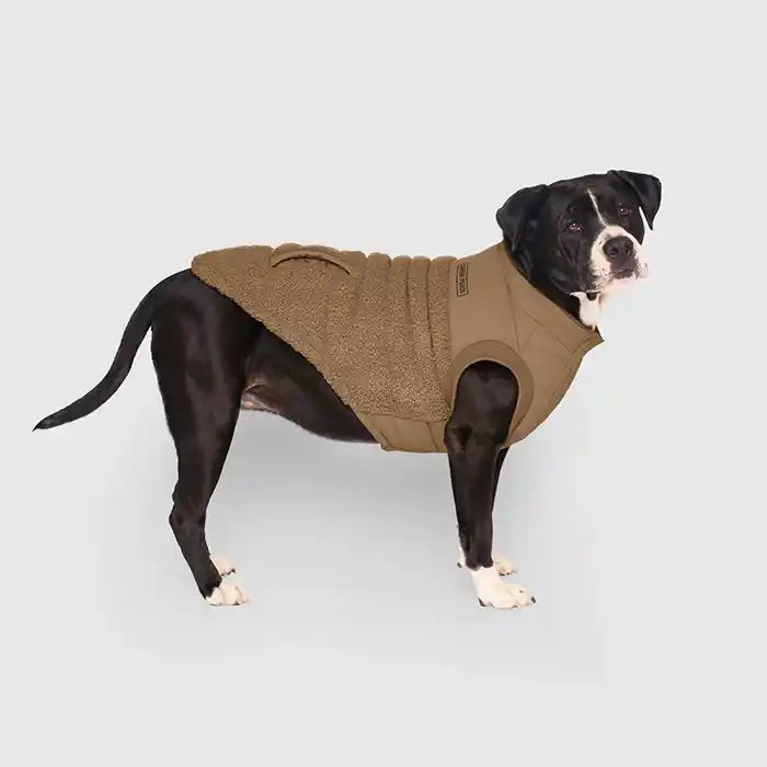 canada pooch cool factor tan dog coat side view