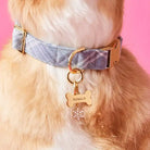 snowflake dog collar charm styled