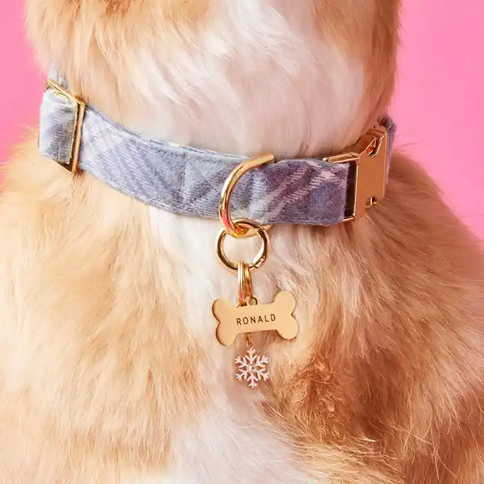 snowflake dog collar charm styled
