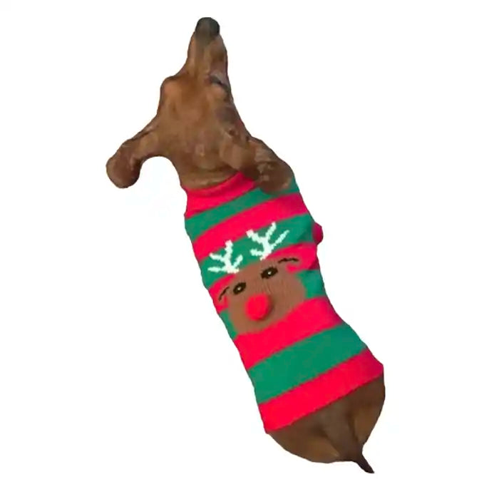 Dachsund Modeling Rudolph Holiday Dog Sweater