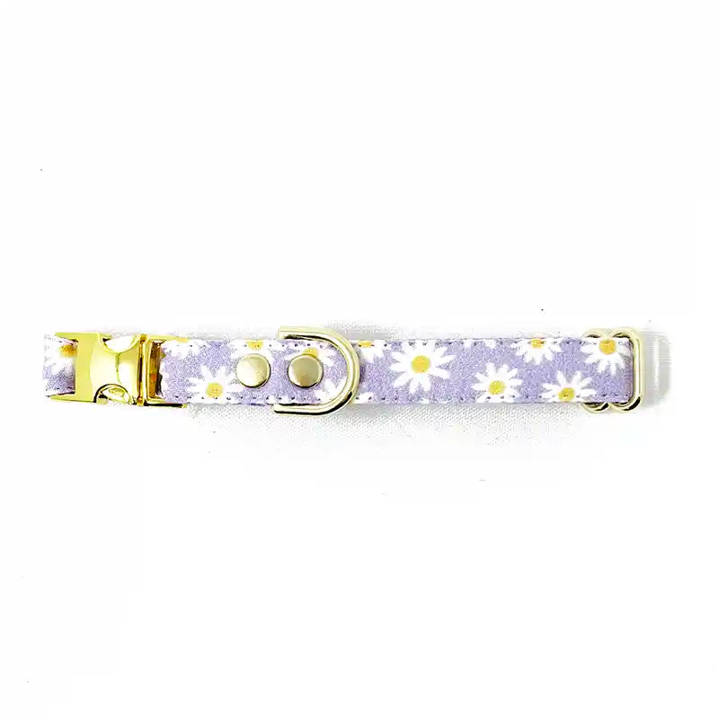 Daisies Small Dog Collar in Lavender - flat view